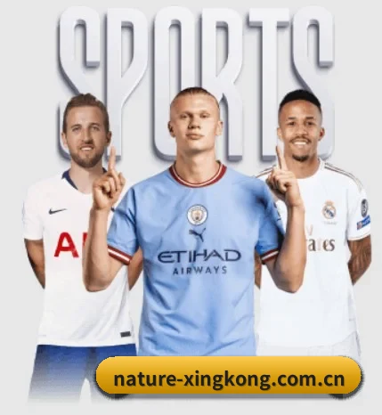 关于我们 - 体育资讯内容服务 - xingkongtiyuapp