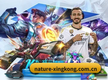 AI 革新 - xingkongtiyuapp